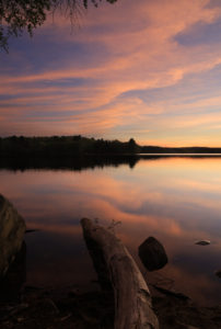 Read more about the article 5/18/20 Sudbury Reservoir