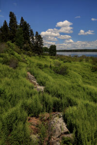 Read more about the article 6/13/20 Whaleboat Island