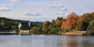 Read more about the article 10/4/20 Leominster State Forest