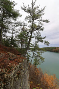 Read more about the article 11/1/20 Cliff Trail