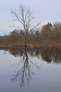 Read more about the article 1/1/29 Charles River Kayaking