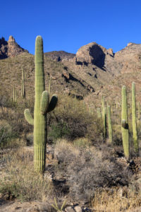 Read more about the article Pontatoc Canyon Sunset Hike