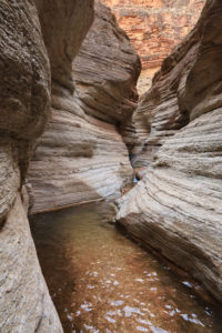 Read more about the article Deer Creek to Above Ledges – Grand Canyon Day 6