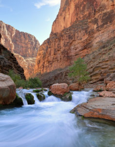 Read more about the article Above Ledges Havasu Canyon and Tuckup Canyon – Grand Canyon Day 7