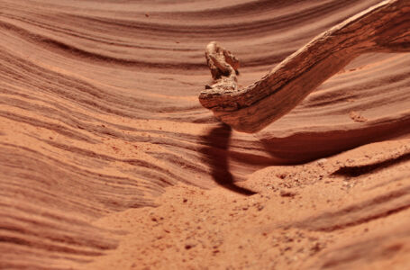 Projection: Rectilinear (0)
FOV: 61 x 42
Ev: 7.35