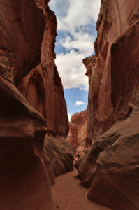 Projection: Rectilinear (0)
FOV: 42 x 60
Ev: 13.51