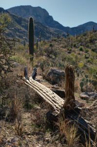 Projection: Rectilinear (0)
FOV: 28 x 40
Ev: 15.31