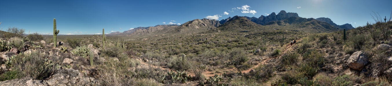 Projection: Equirectangular (2)
FOV: 302 x 77
Ev: 15.05