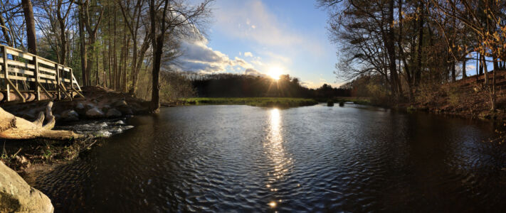 Projection: Cylindrical (1)
FOV: 178 x 78
Ev: 11.97