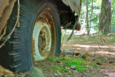 Projection: Rectilinear (0)
FOV: 55 x 39
Ev: 7.91