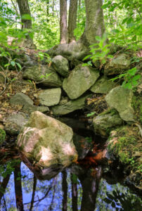 Projection: Rectilinear (0)
FOV: 39 x 54
Ev: 9.66