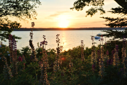 Projection: Rectilinear (0)
FOV: 46 x 33
Ev: 11.30